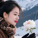 fengyanyingshi