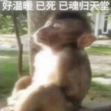 yitianxuanbadundeniu