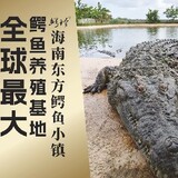 ezheneyu-yangyang
