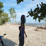 hellofarid1234