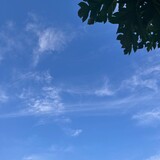 FI-EDT