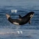 yuyuetan