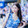 xindongy___iuyuan