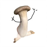 yaomaixingbaogugugu