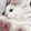 shiyenaiye-