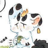 baijiebudeqijie