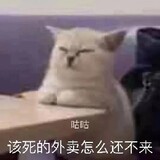 Gugugudexiaogezi