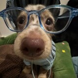 luoliluosuodeduosuo