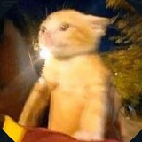 mamak_aku_mau_Aerox