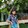 bili_1915509889