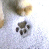 todayis_felix