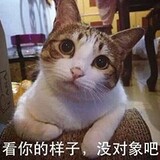 xiaochaodianzi
