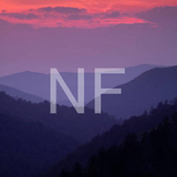 NF Film ID