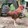 NAV'SBACKYARDgf
