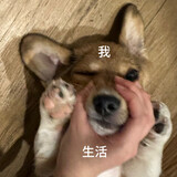 ______laichi