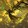 robdawg925_03
