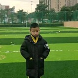 linchaoshenggangqin