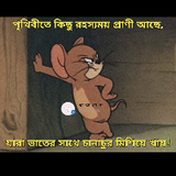 MD Arman_1279_3833
