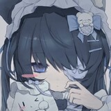 shishuimiaoi