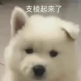 muxianmuyumu