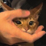 lululululululu1