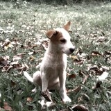 bili_1206314244