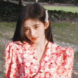 yancaochuanyi