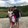 Bryle Salinas