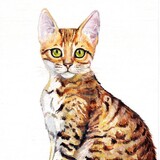 mengbaoxueyuan___she