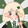 bushiyigexiaopengyou
