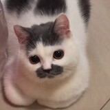 yiyanbuhejiukaic___i