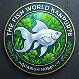 The Fish World