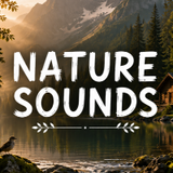 NatureSounds