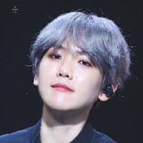 aerbeisidexiaoyaozi