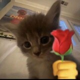 xyrynz_rmie07