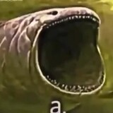 a---a---a---a