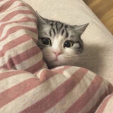 xunyiy