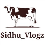 Sidhu Dairy farm San