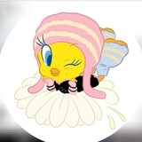choupihuaniuniu