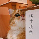 moshanghuasang_muxue