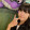 seon_uoo