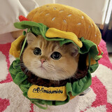 yimiaowuzz