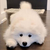qinsechunming-