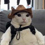 wode___michengjingle