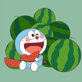 dengyuqiqi