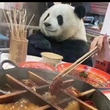 zhukong