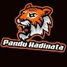 Pandu Hadinata0