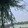 wasa_08