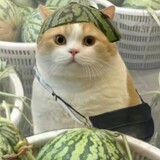 xiaofeiyuhe___me