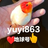 yuyi___________